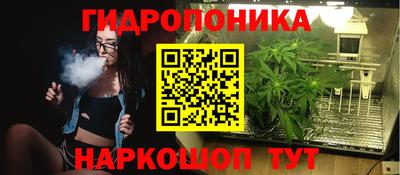 Альфа ПВП Малгобек