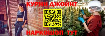 Альфа ПВП Малгобек