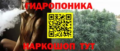 Альфа ПВП Малгобек