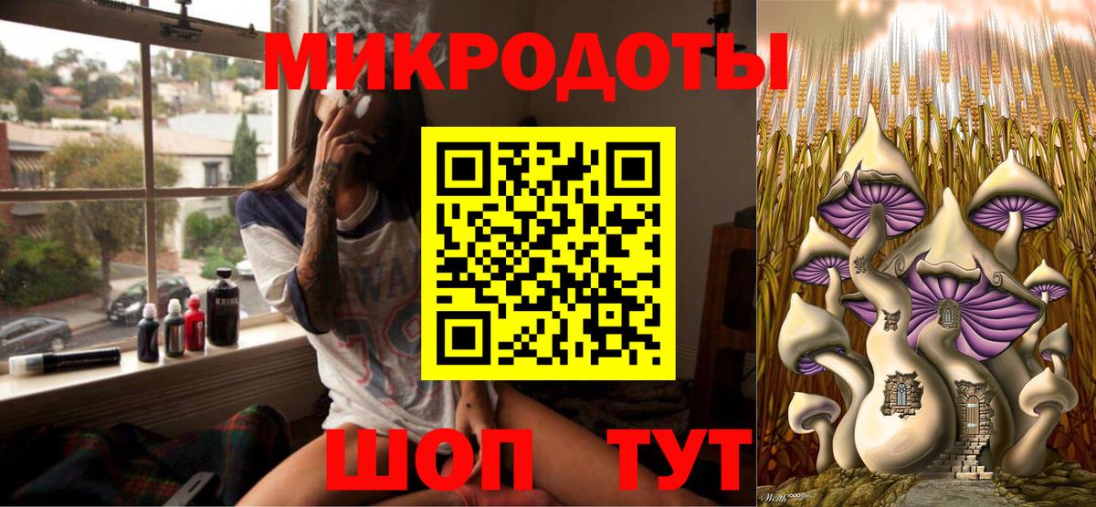 Псилоцибиновые грибы мицелий Заринск