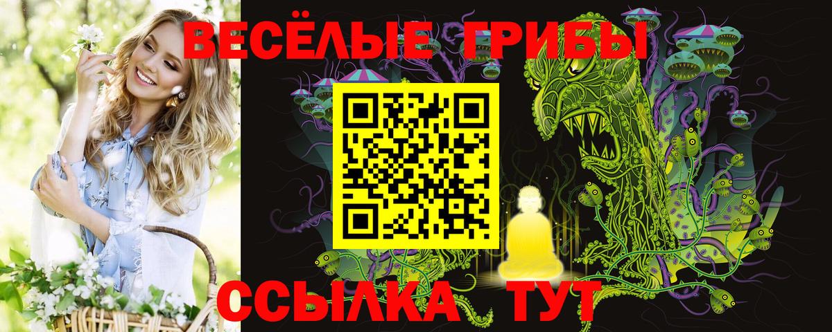 Галлюциногенные грибы мицелий  Вход с VPN  Заринск 